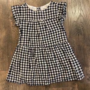 Gap Drop Waist Gingham Dress